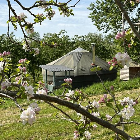 Вилла Dragon Orchard Retreat Ледбери Экстерьер фото