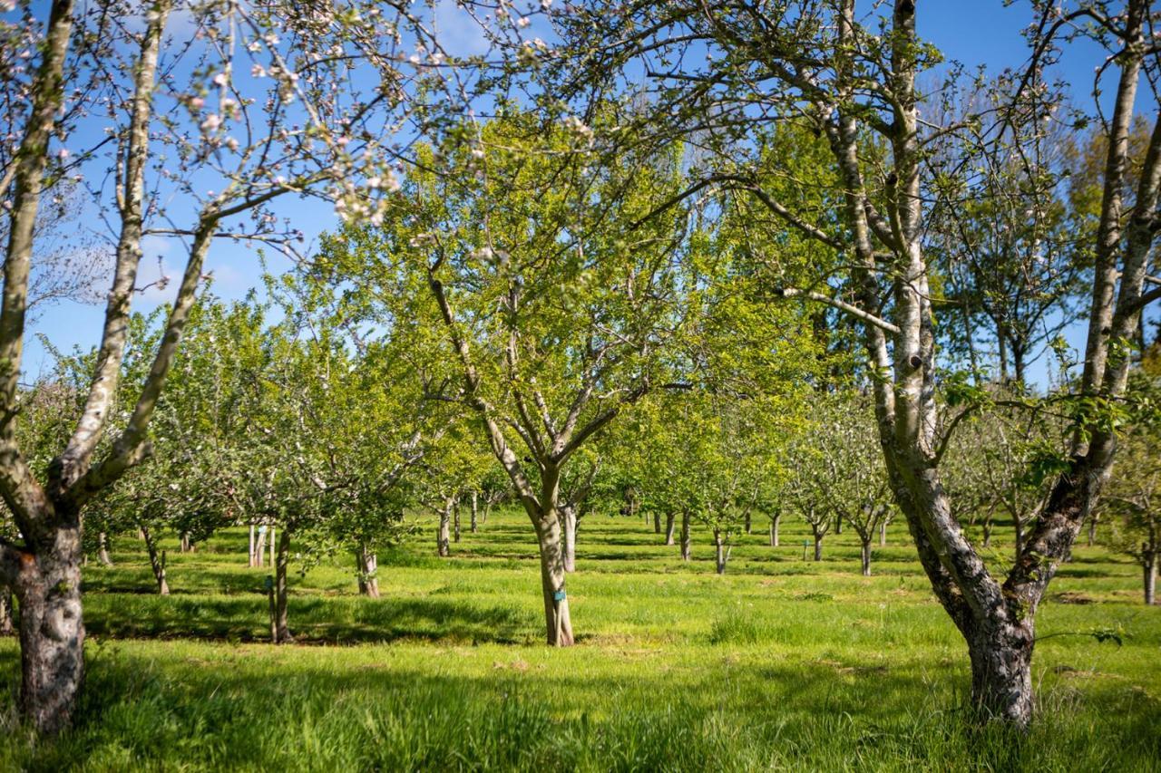 Вилла Dragon Orchard Retreat Ледбери Экстерьер фото
