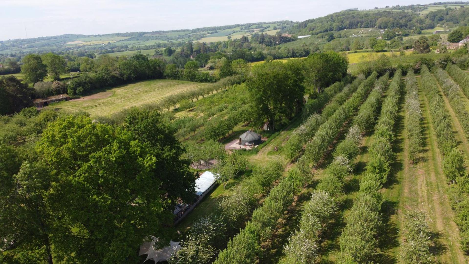 Вилла Dragon Orchard Retreat Ледбери Экстерьер фото