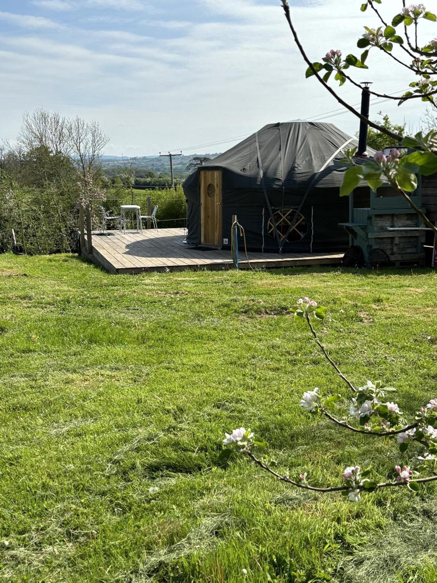 Вилла Dragon Orchard Retreat Ледбери Номер фото